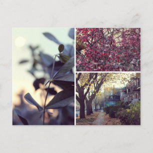 Carte Postale Automne