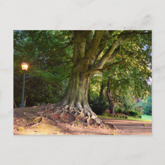 Carte Postale Automne