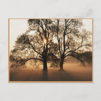 Carte postale Automne