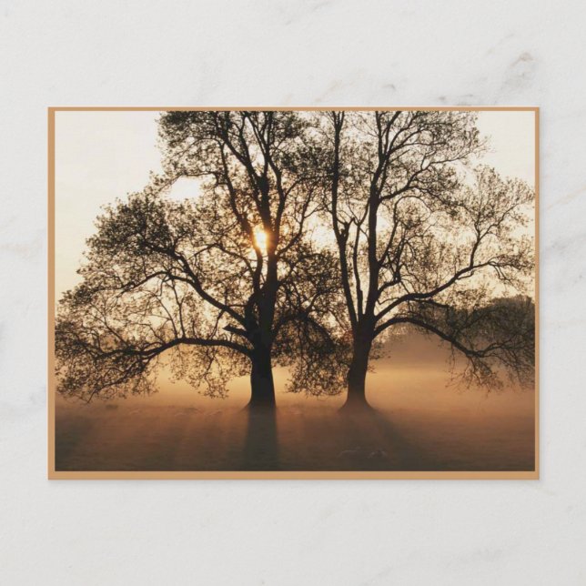 Carte postale Automne (Devant)