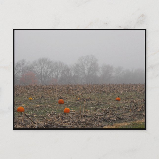 Carte Postale ~ Automne ~ 21 (Devant)