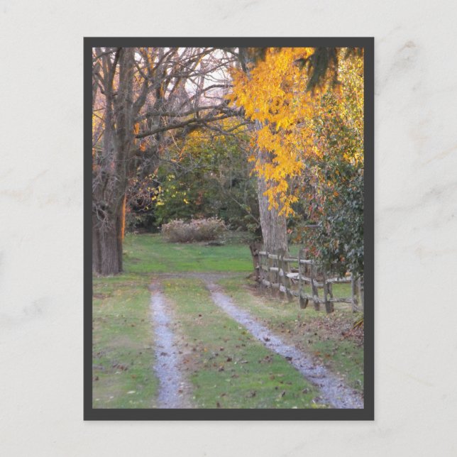 Carte Postale ~ Automne ~ 30 (Devant)