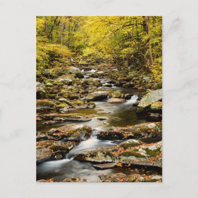 Carte Postale Automne à Big Creek (Devant)