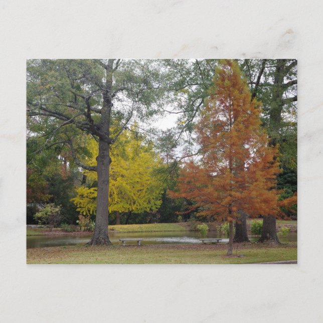 Carte Postale Automne à Birmingham, Alabama (Devant)