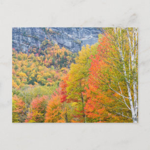 Carte Postale Automne à Grafton Notch State Park, Maine