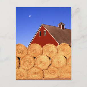 Carte Postale Automne à la ferme