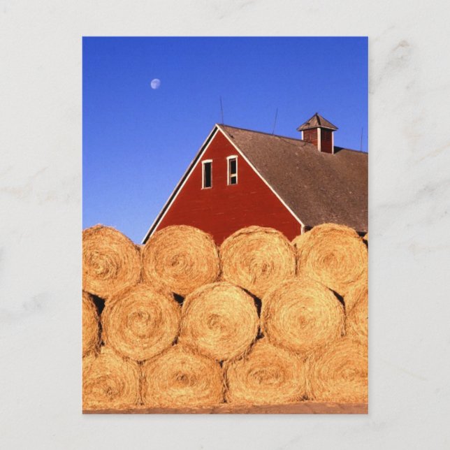 Carte Postale Automne à la ferme (Devant)