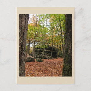Carte Postale Automne à New York - 1
