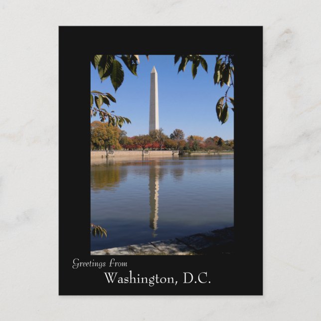Carte Postale Automne à Washington DC (Devant)