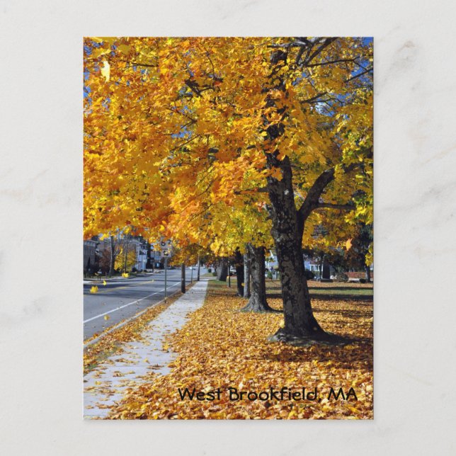 Carte Postale Automne à West Brookfield, MA (Devant)
