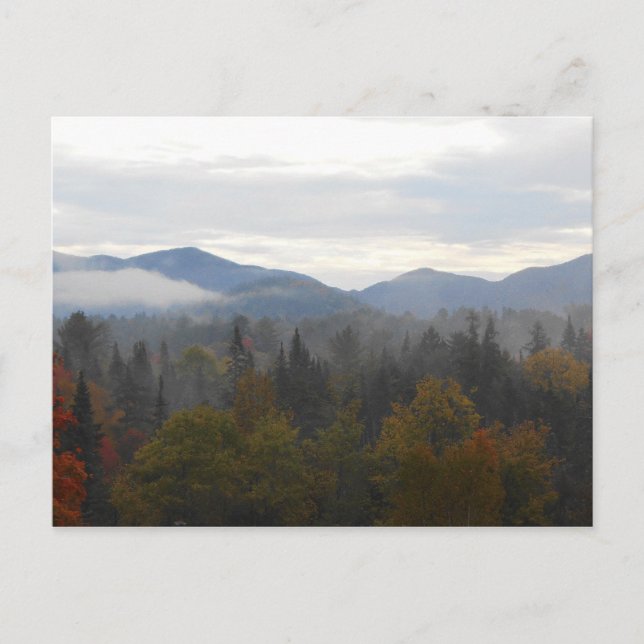 Carte Postale Automne Adirondacks Arbres paysage paysage (Devant)
