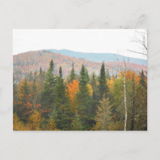 Carte Postale Automne Adirondacks Arbres paysage paysage