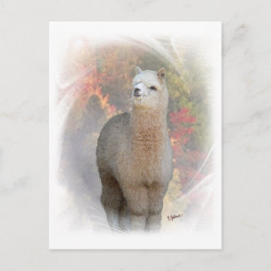 Carte postale Automne Alpaca