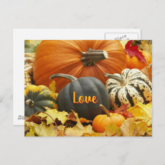 Carte Postale Automne Amour Automne Photo Feuilles Citrouilles