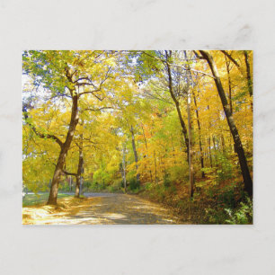 Carte Postale Automne Arbres 2004 Photo ... Bradley Park