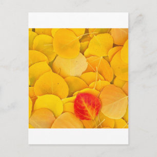 Carte Postale Automne Aspen Feuille Est de la Sierra Californie