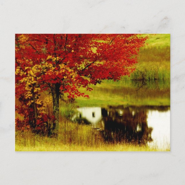Carte Postale Automne au Kentucky (Devant)
