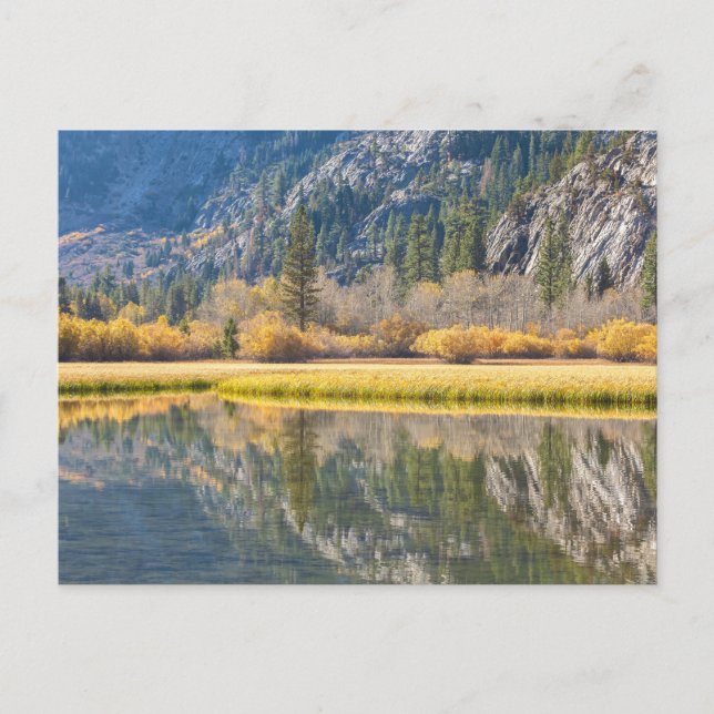 Carte Postale Automne au lac (Devant)