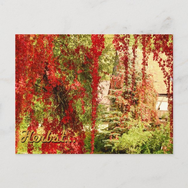 Carte Postale Automne / Automne (Devant)