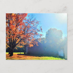 Carte Postale Automne automne à Long Island New York