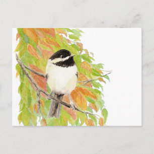 Carte Postale Automne, Automne, Chickadee, Nature des oiseaux