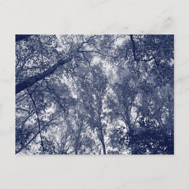 Carte Postale Automne bleu (Devant)