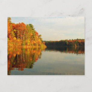 Carte Postale Automne chez Walden