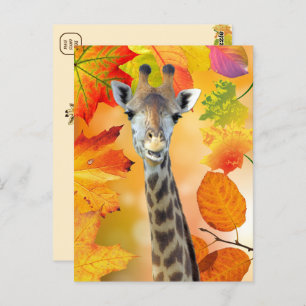 Carte Postale Automne Coloré / Girafe Automne