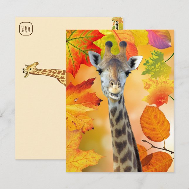 Carte Postale Automne Coloré / Girafe Automne (Devant / Derrière)