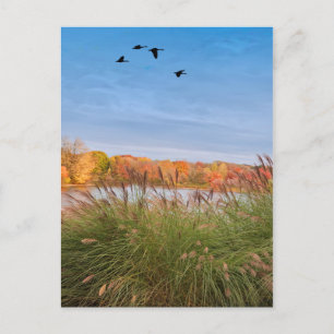 Carte Postale Automne Connecticut peint