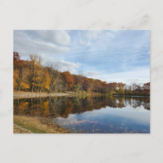 Carte Postale Automne dans le Michigan (Devant)