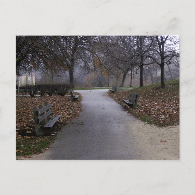 Carte Postale Automne dans le parc (Devant)