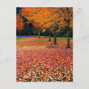 Carte Postale Automne dans le parc