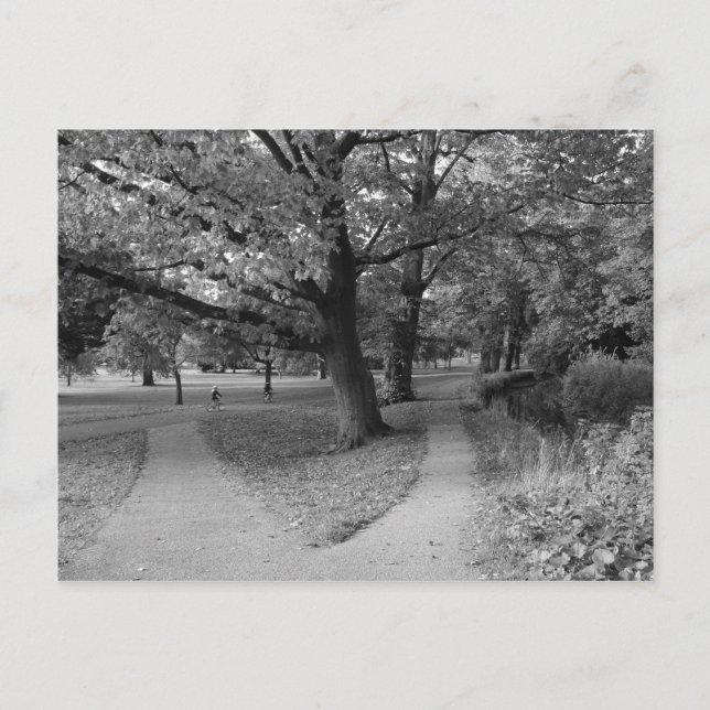 Carte Postale Automne dans le Parc - Noir et Blanc (Devant)