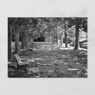 Carte Postale Automne dans le parc : Tokyo