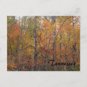Carte Postale Automne dans le Tennessee