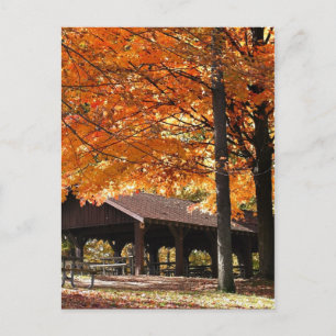 Carte Postale Automne Dans Un Parc