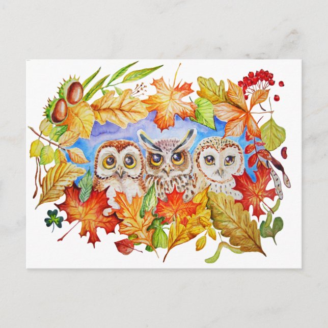 Carte Postale automne de trois hiboux (Devant)