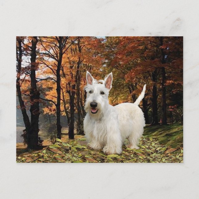 Carte Postale Automne de Wheaten Scottish Terrier (Devant)
