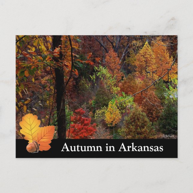 Carte Postale Automne en Arkansas / Saison d'automne Arbres Phot (Devant)
