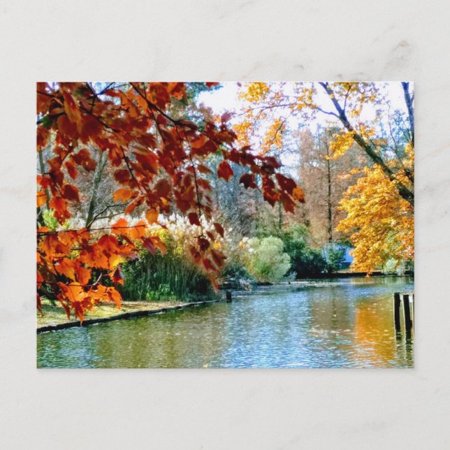 Carte Postale Automne en Caroline du Nord (Devant)