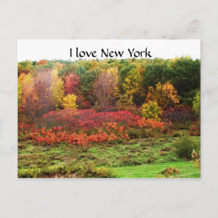 CARTE POSTALE AUTOMNE EN RURAL NEW YORK