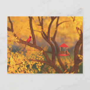 Carte postale Automne Guardian