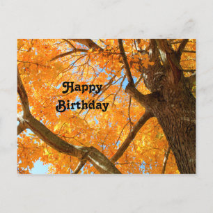 Carte Postale Automne Jaune de l'érable Photo Anniversaire
