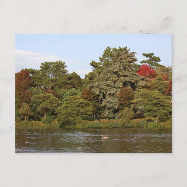 Carte Postale Automne, Lac Roath Park, Cardiff (Devant)