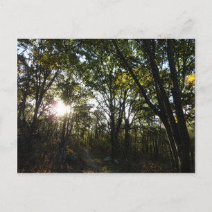 Carte Postale Automne Matin au Parc national de Shenandoah