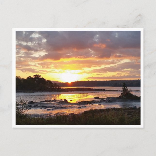 Carte Postale Automne matin sur la côte du Maine (Devant)