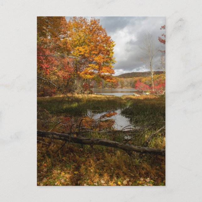 Carte Postale Automne nord-est (Devant)