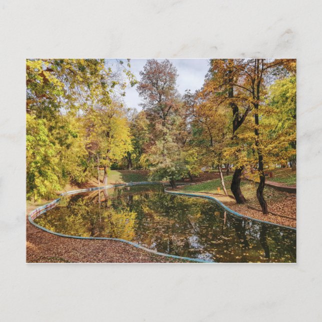 Carte Postale Automne Parc Jaune arbres réflexion (Devant)