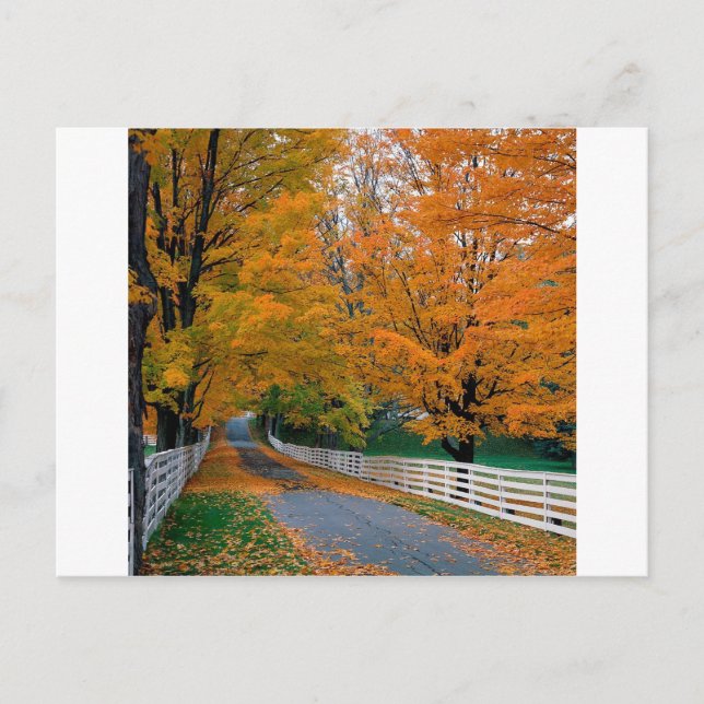 Carte Postale Automne Pittoresque Backroad New Hampshire (Devant)